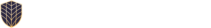 Elite Motor Group